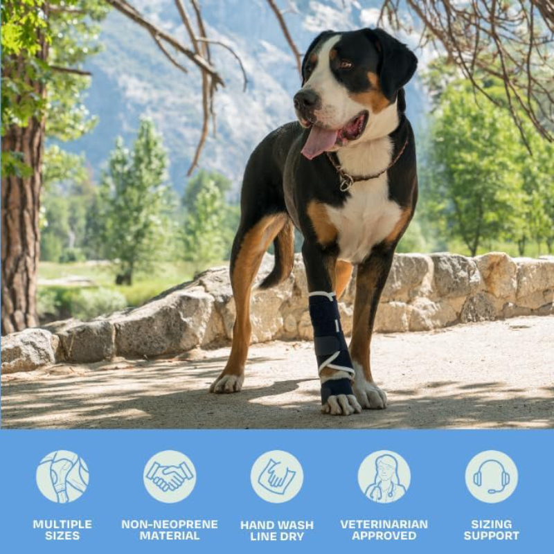 Carpal Hyperextension Dog Brac - Ankle Mobility Band avis et prix